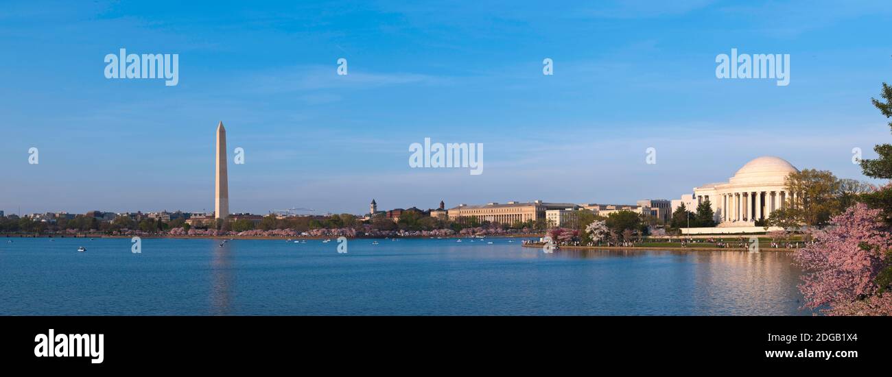 Kirschblüten im Tidal Basin, Jefferson Memorial, Washington Monument, National Mall, Washington DC, USA Stockfoto