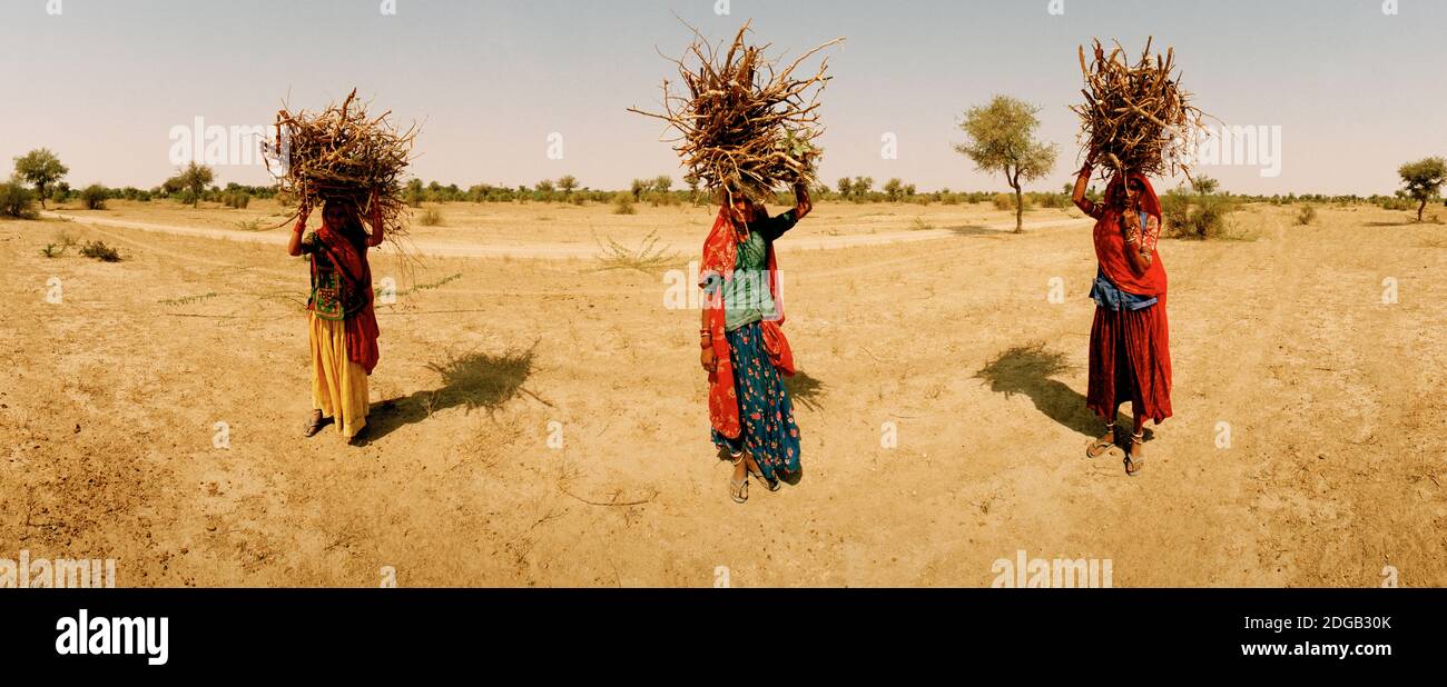 Frauen tragen Feuerholz auf ihren Köpfen, Indien Stockfoto