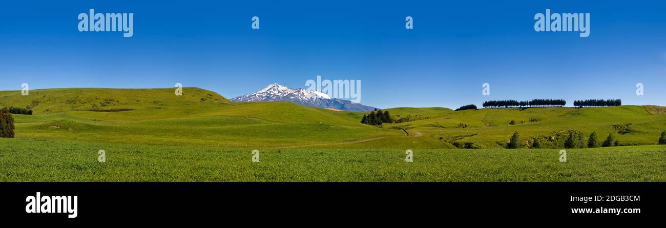 Feld mit Bergkette im Hintergrund, Whanganui, Nordinsel, Neuseeland Stockfoto