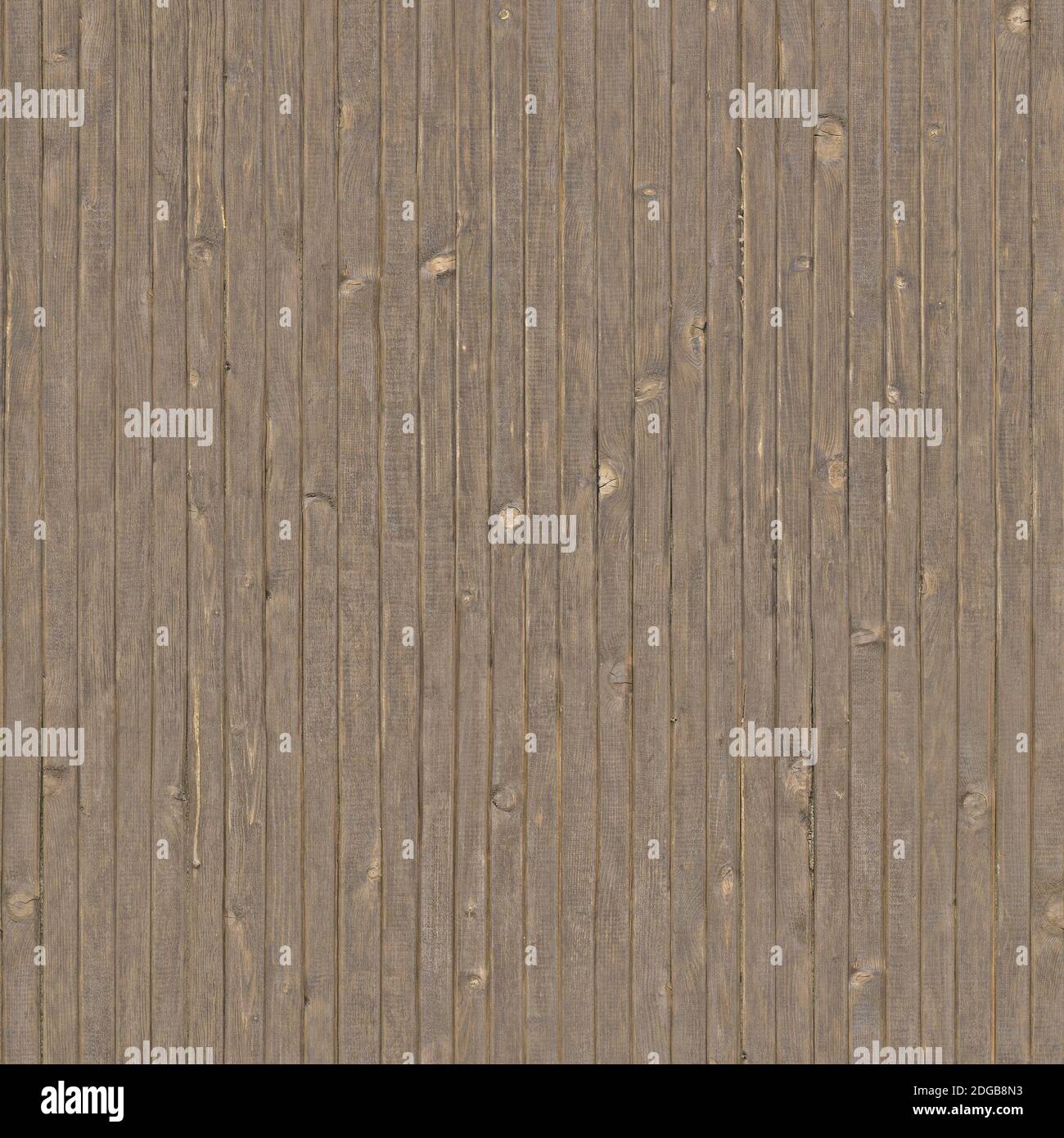 Das Hintergrundbild mit der Textur Bild eines Baumes. Stockfoto