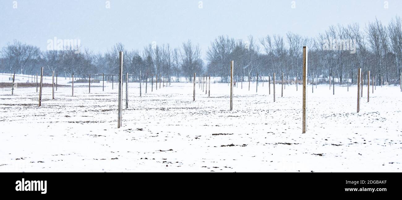 Leerer Valley Ball Court im Winter am woodbine Beach Toronto ON Stockfoto