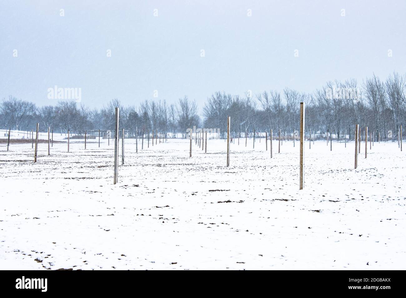 Leerer Valley Ball Court im Winter am woodbine Beach Toronto ON Stockfoto