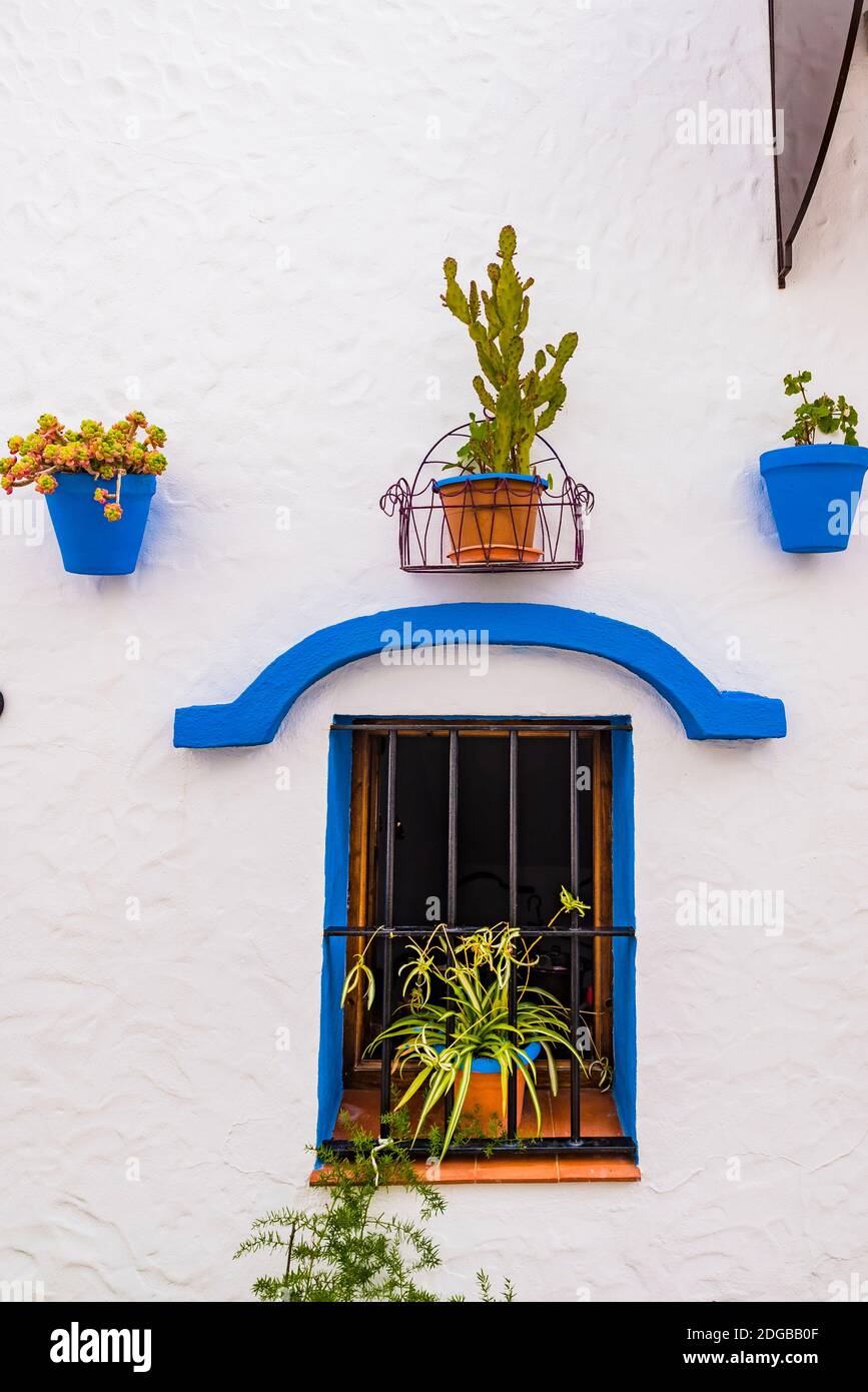 Detail, typisches Haus der weißen Dörfer mit Töpfen an der Fassade. Villaluenga del Rosario, Cádiz, Andalucía, Spanien, Europa Stockfoto