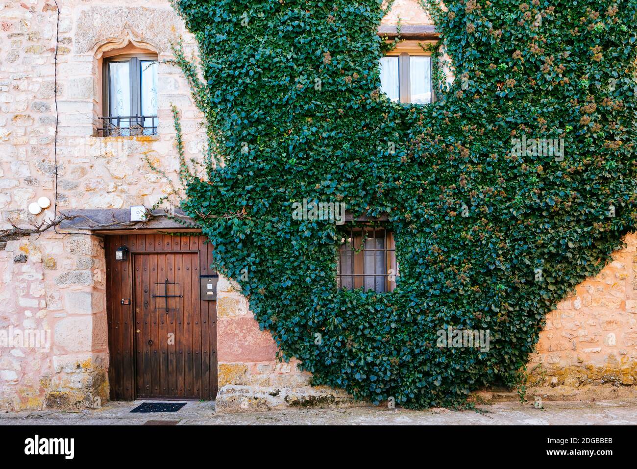 Kriechgang an der Fassade eines alten Steinhauses. Medinaceli, Soria, Castilla y León, Spanien, Europa. Stockfoto