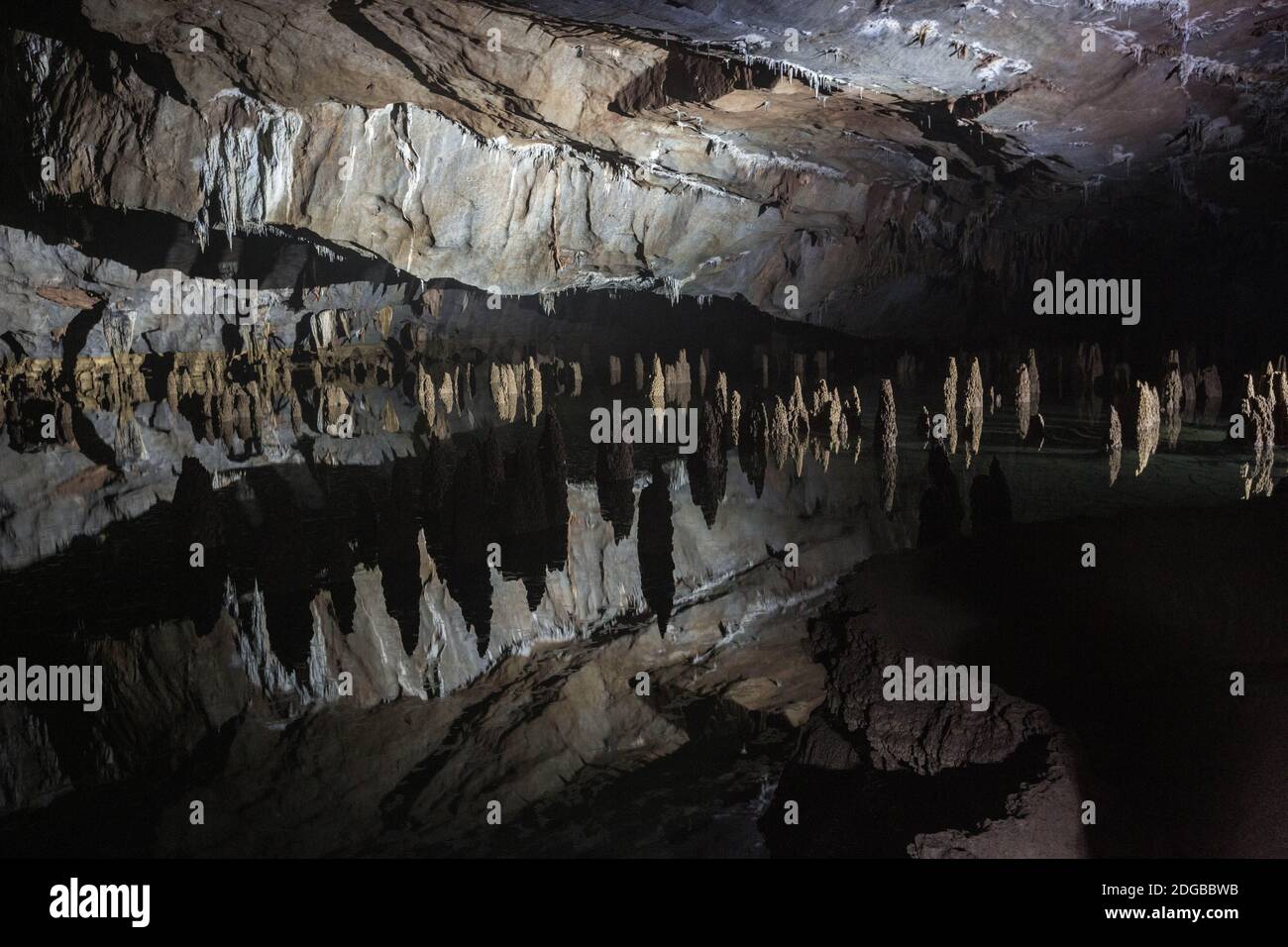 Son Doong Cave - Vietnam Stockfoto