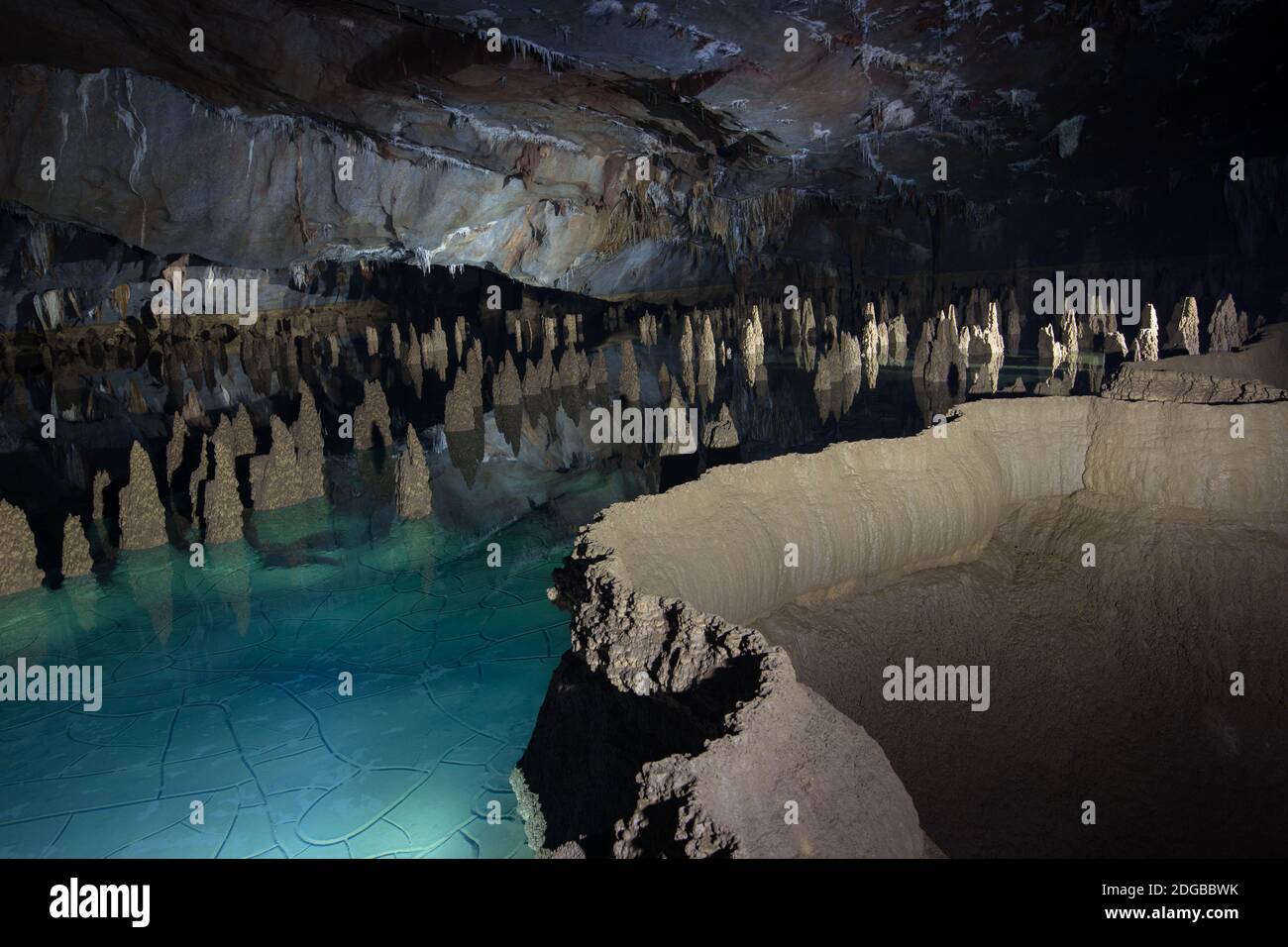 Son Doong Cave - Vietnam Stockfoto