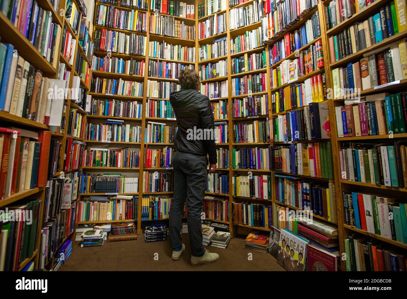 Ein Junge vor einer riesigen Bücherwand Stockfoto
