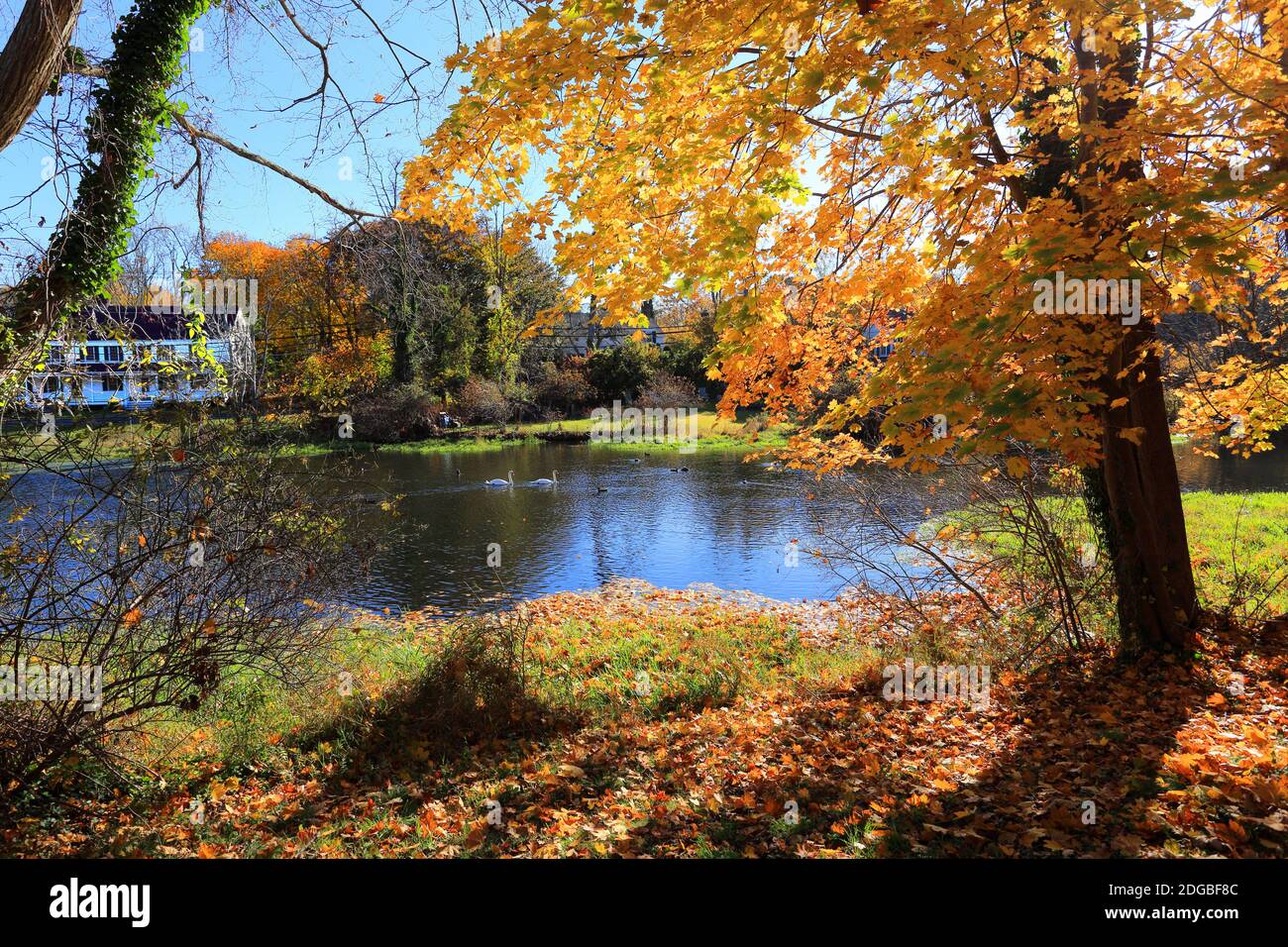 Der Mill Pond Setauket Long Island New York Stockfoto