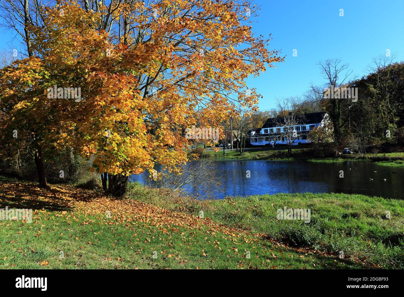 Der Mill Pond Setauket Long Island New York Stockfoto