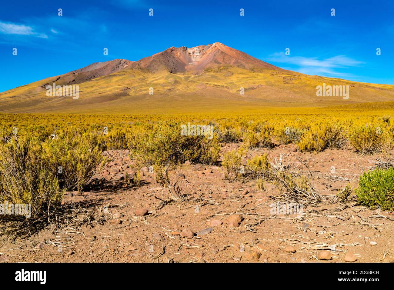 Vulkanlandschaft bei Uyunu in Bolivien Stockfoto