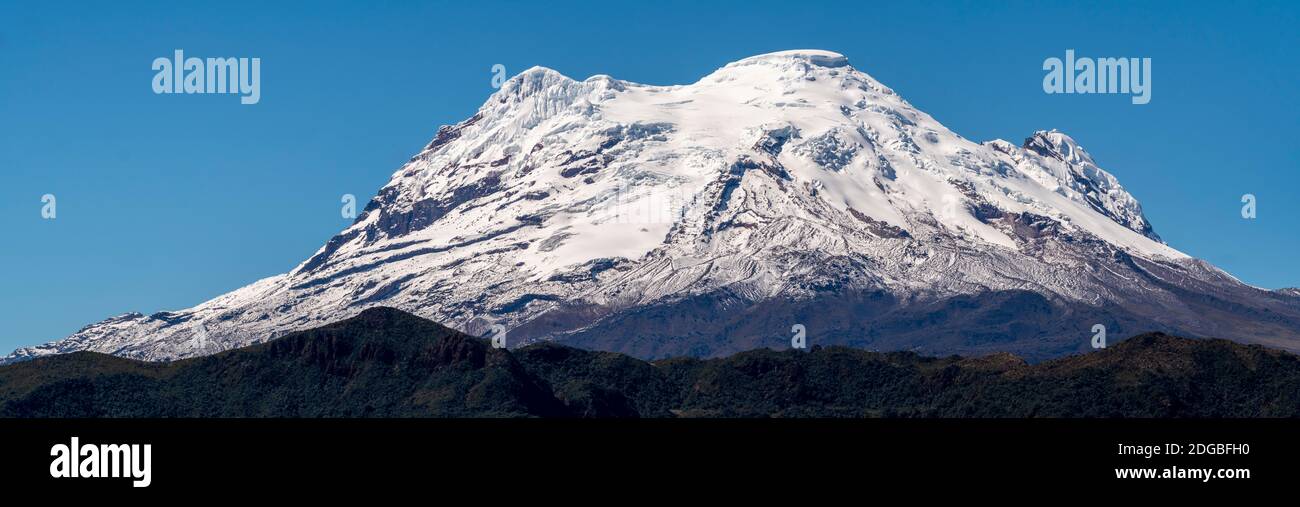 Der schneebedeckte Antisana Vulkan, der vierthöchste Gipfel Ecuadors mit 5,704 Metern, hat ein Panorama. Stockfoto