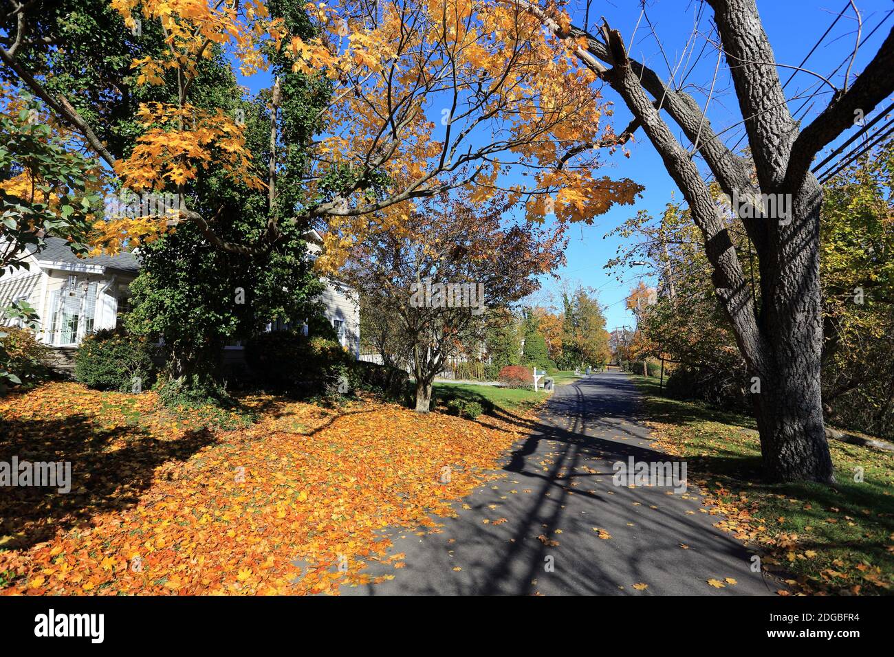 Lake St. Setauket Long Island New York Stockfoto