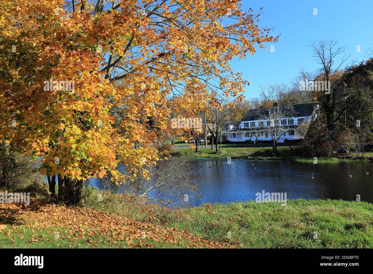 Der Mill Pond Setauket Long Island New York Stockfoto