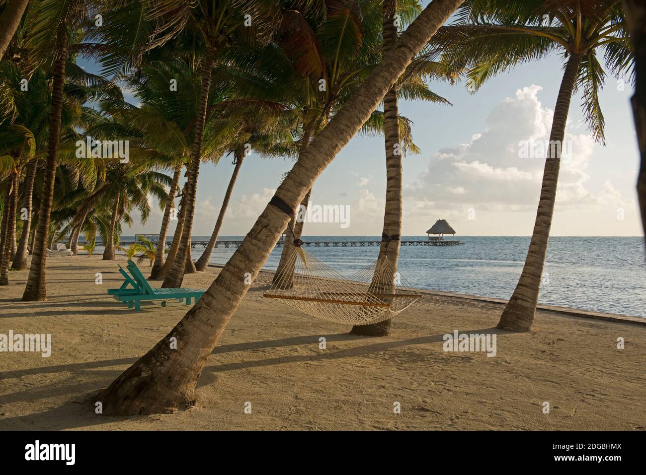 Palmen und Hängematten am San Pedro Beach, Ambergris Caye, Belize Stockfoto