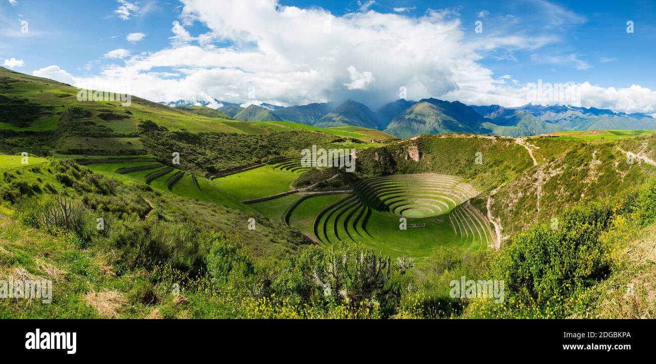 Kreisförmige Inka-Terrassen von Moray, Machupicchu Bezirk, Urubamba Provinz, Cusco Region, Peru Stockfoto