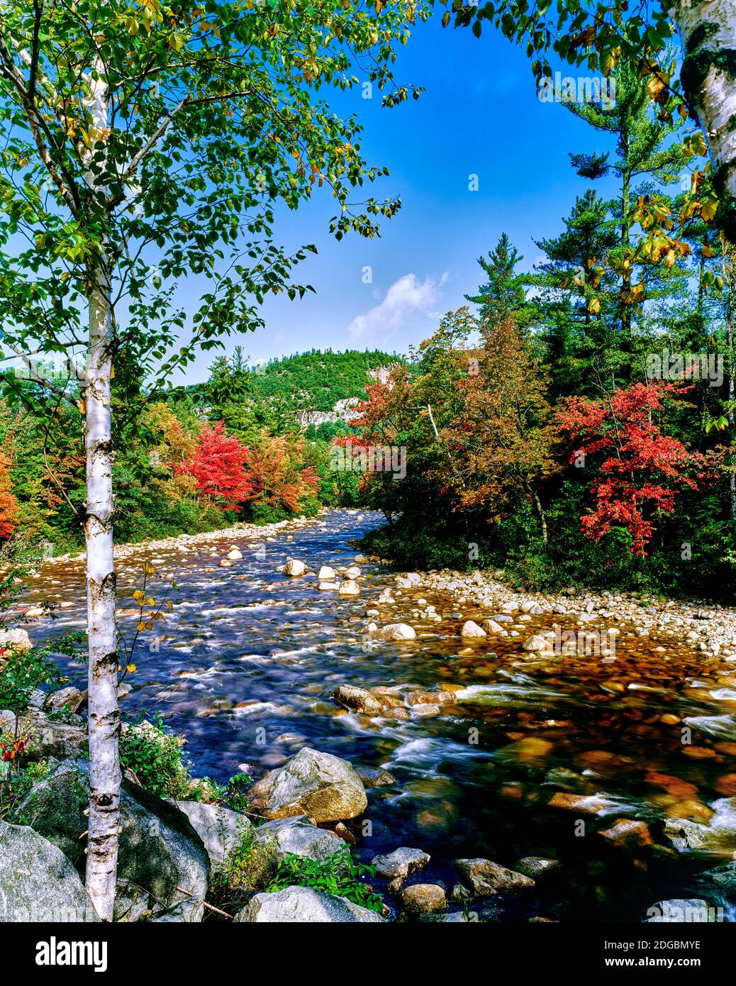 Blick auf den Swift River am Kancamagus Highway, White Mountain National Forest, New Hampshire, USA Stockfoto