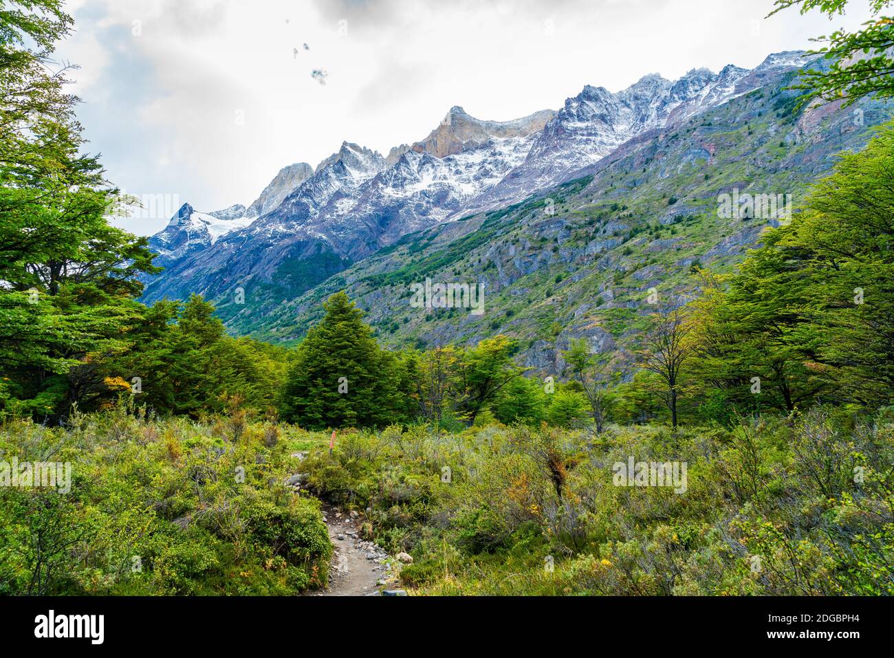 Wunderschöne Naturlandschaft im Torres del Paine Nationalpark in Südchilenisches Patagonien Stockfoto