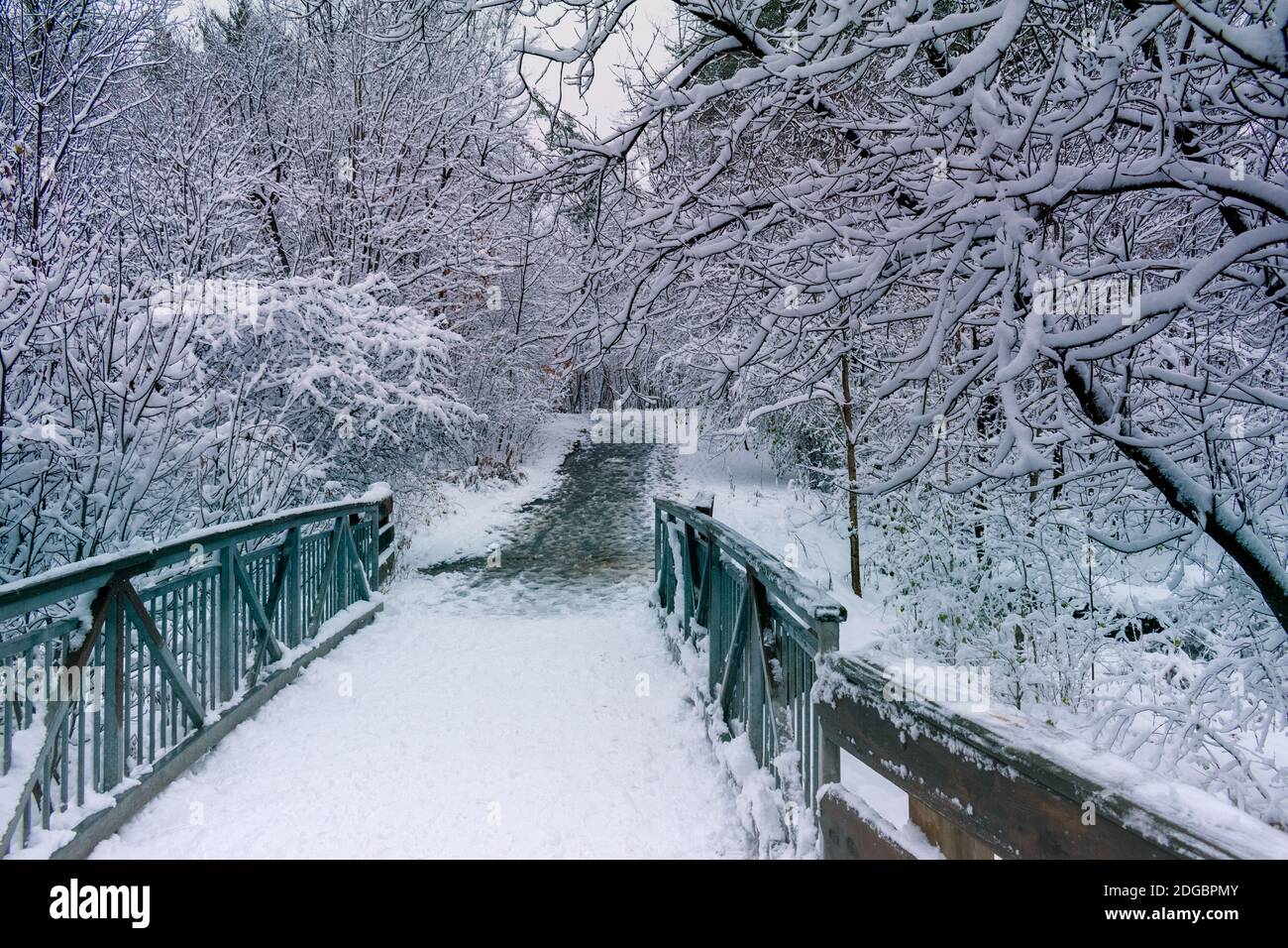 Verschneite Strecke mit Brücke und Bäumen mit Schnee bedeckt. Winterhintergrund mit Kopierbereich Stockfoto