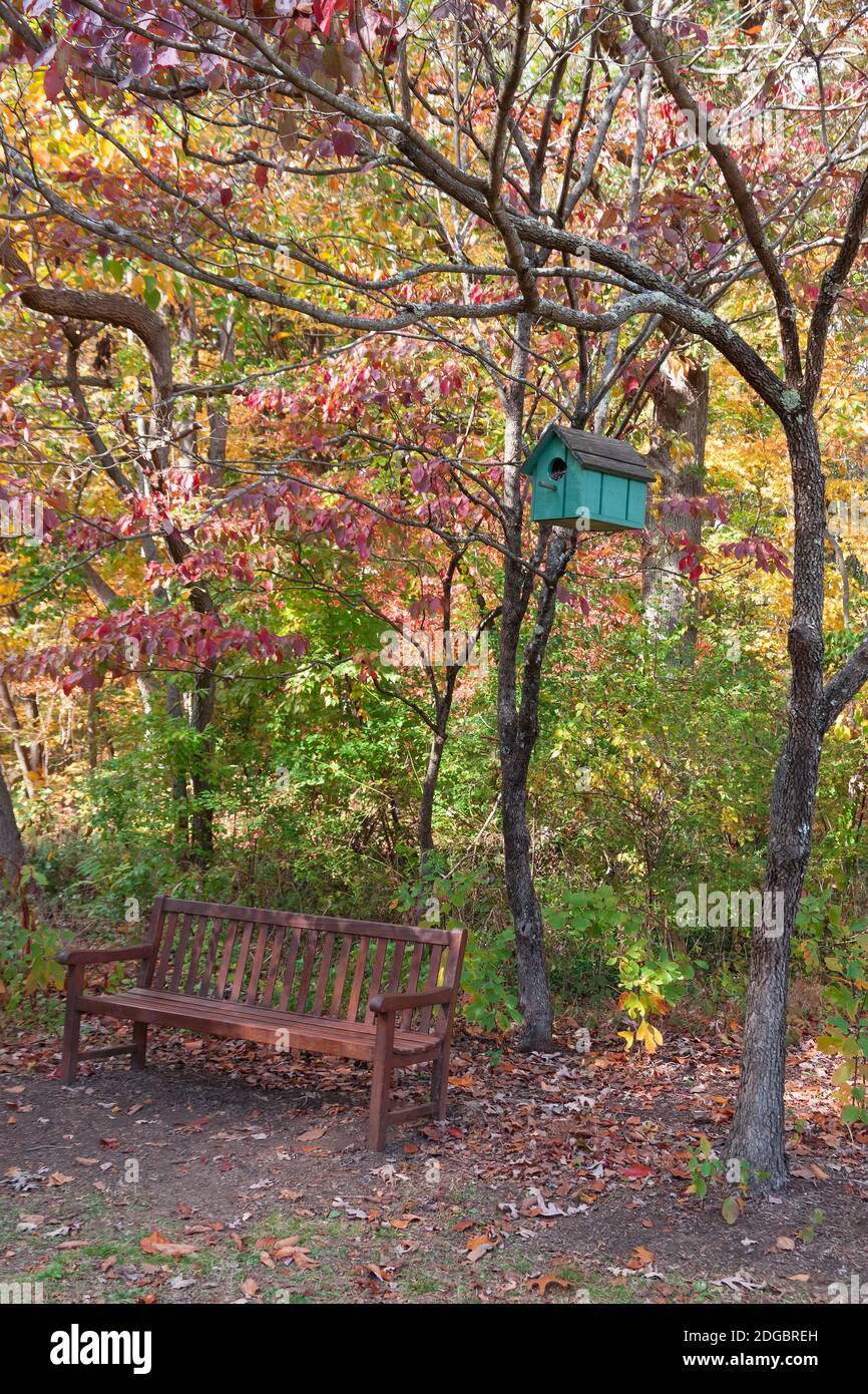 Farbenfrohe handgemachte Holzvogelhäuschen in grün/blaugrün, die während der Herbstsaison am Baum hängen, im Lasdon Park, Westchester, New York, USA. Stockfoto