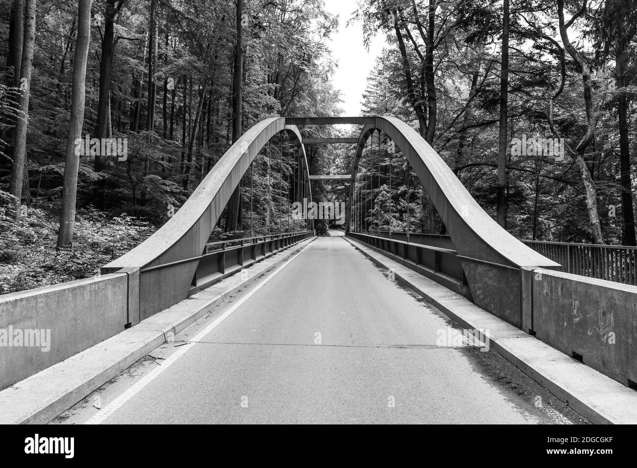 Schmale Asphaltreihe im Wald und moderne Brücke über Sinkhole Nova Rasovna, Mährischer Karst, Tschechische Republik. Schwarzweiß-Bild. Stockfoto