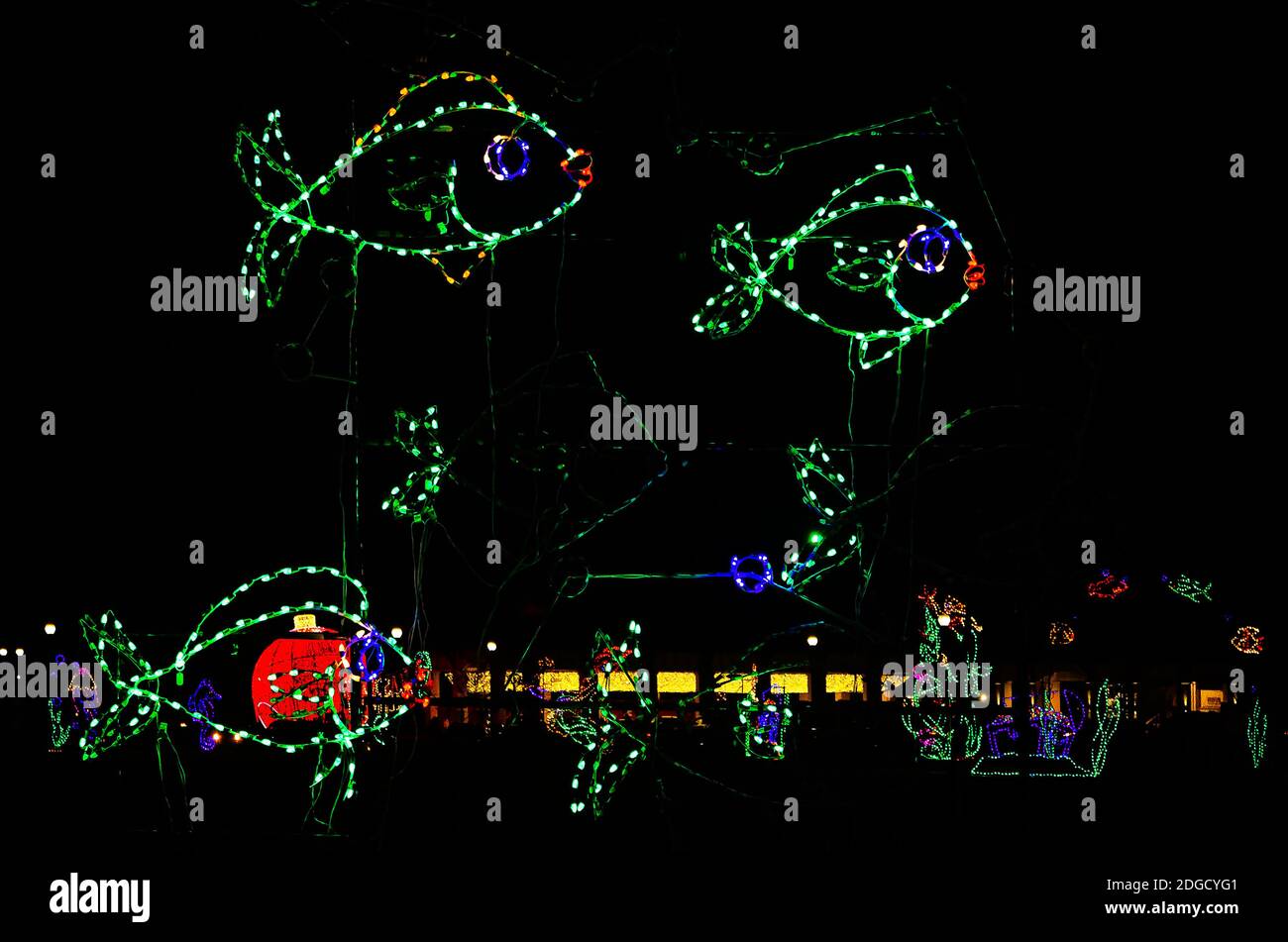 Weihnachtslichter zeigen eine Fischschule während einer Feiertagsfeier im Jones Park am 5. Dezember 2020 in Gulfport, Mississippi. Stockfoto