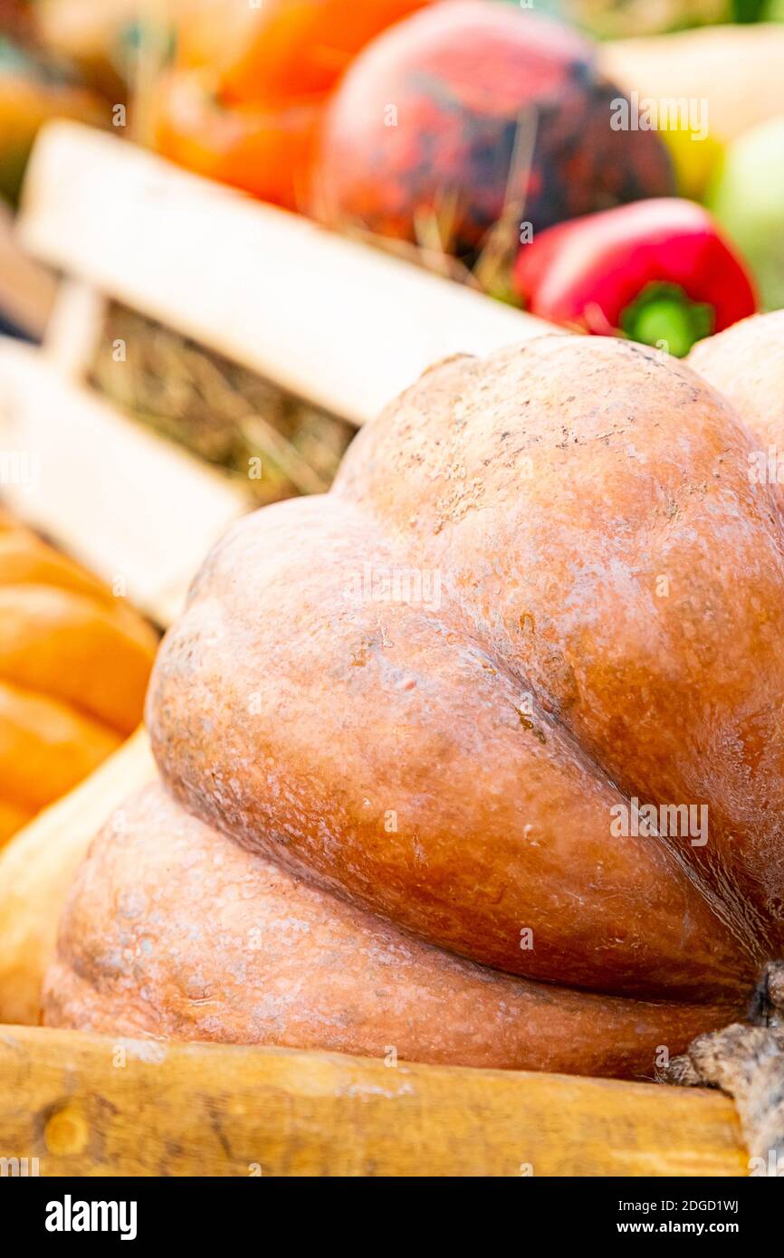 Große orange Kürbis gerippte Teil große Gemüse Teil auf verschwommen Gemüse Hintergrund Stockfoto