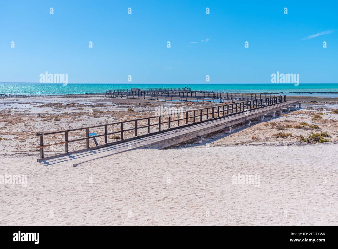 Holzsteg am Hamelin Pool für die Aussicht auf Stromatolithen, Australien Stockfoto