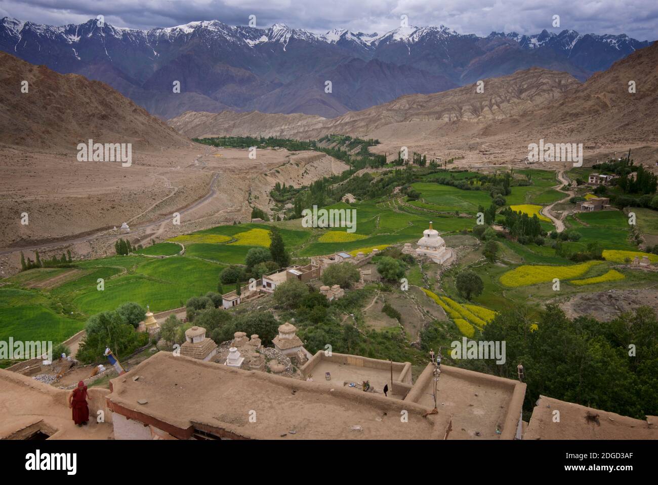 Blick auf üppige bewässerte Felder und Stupas rund um das Likir Kloster, Likir, Ladakh, Jammu und Kaschmir, Indien. Eine Himalaya-Kulisse. Mönch auf dem Rtoof des Klosters Stockfoto
