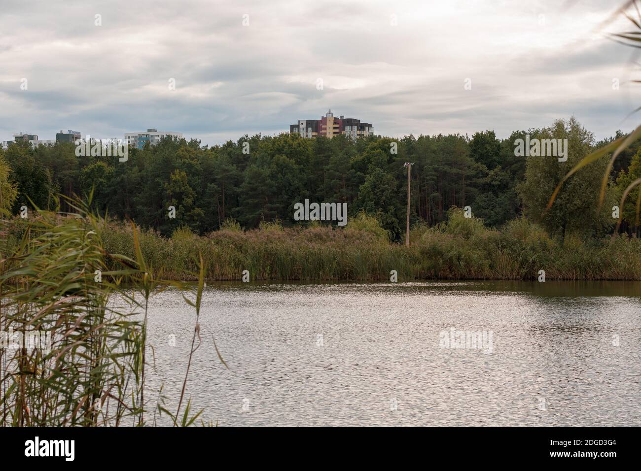 Urbane See Herbstlandschaft, Ukraine. Vorlage für Design Stockfoto