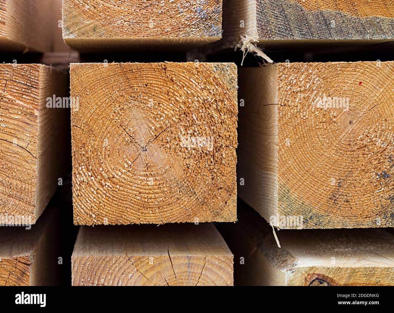 Baustoffe Haus Stapel von Balken close-up, hell Quadrat abgeschnitten Stamm Hintergrund Stockfoto