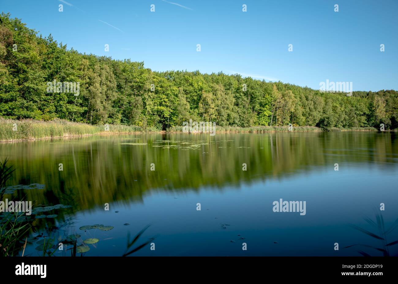 Ende des Sommers Stockfoto