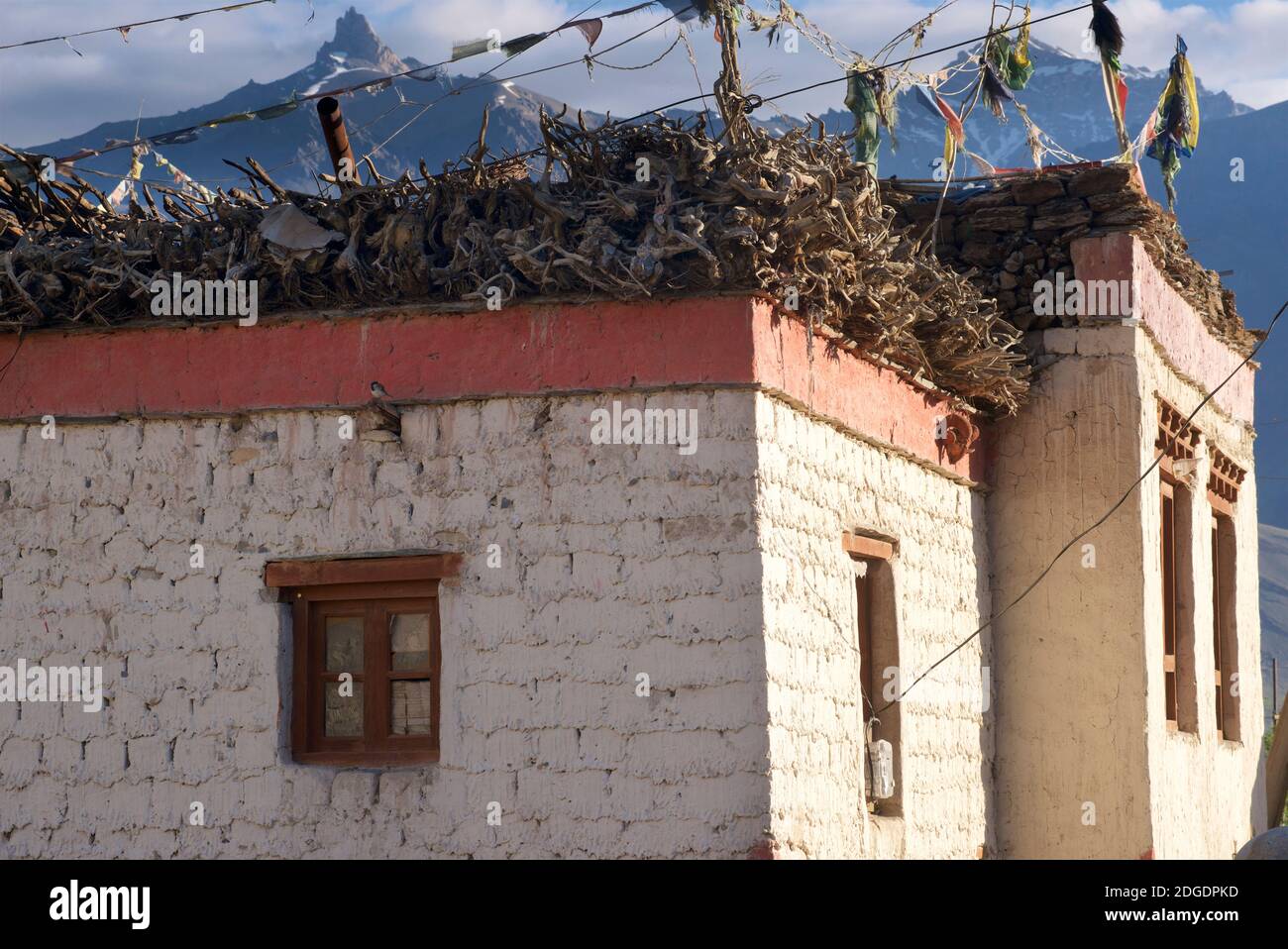 Holz für Brennstoff stapelte sich auf dem Dach eines Hauses, Pibiting Dorf, Padum Zanskar Valley, Ladakh, Jammu und Kaschmir, Nordindien Stockfoto