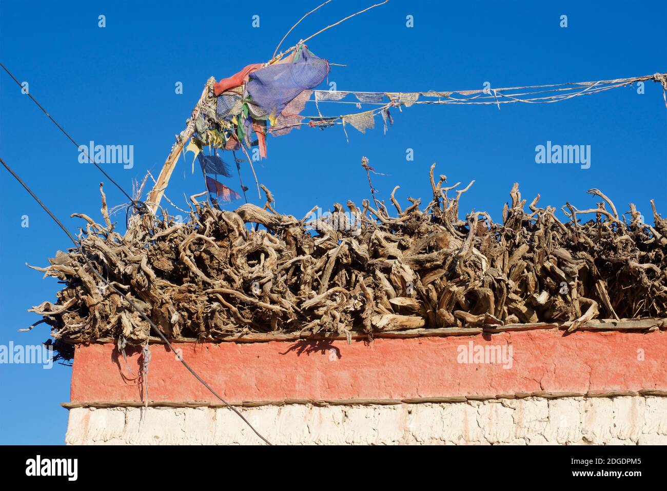 Holz für Brennstoff stapelte sich auf dem Dach eines Hauses, Pibiting Dorf, Padum Zanskar Valley, Ladakh, Jammu und Kaschmir, Nordindien. Prayerflags Stockfoto