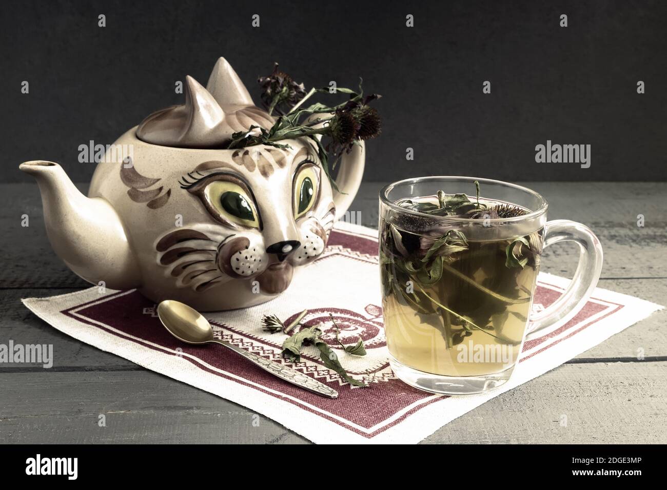 Kräutertee mit der Heilpflanze Echinacea Stockfoto