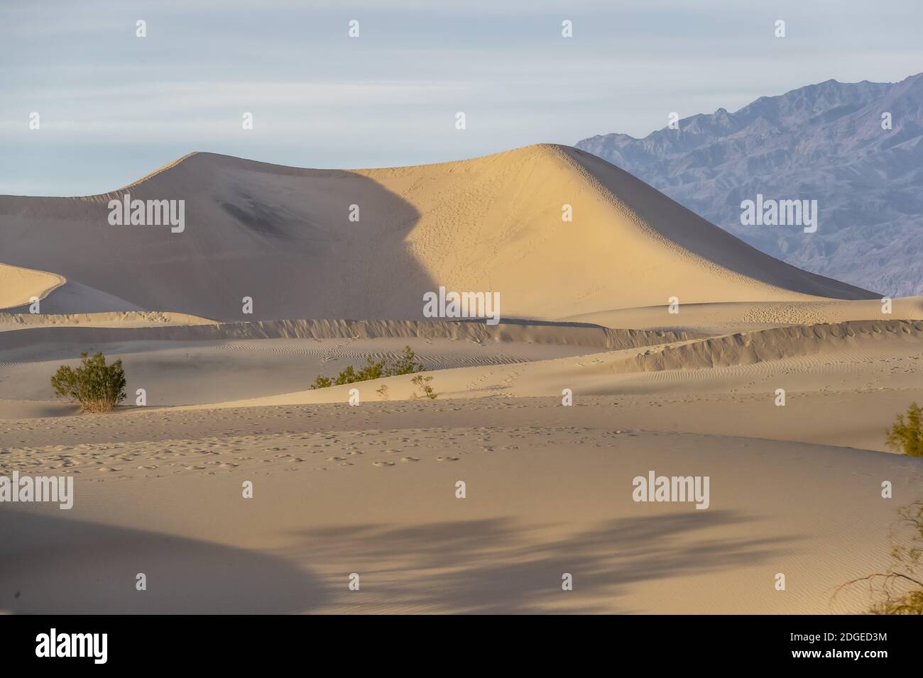 Landschaftlich schöner Blick auf EINE trostlose, trockene amerikanische Wüste Stockfoto
