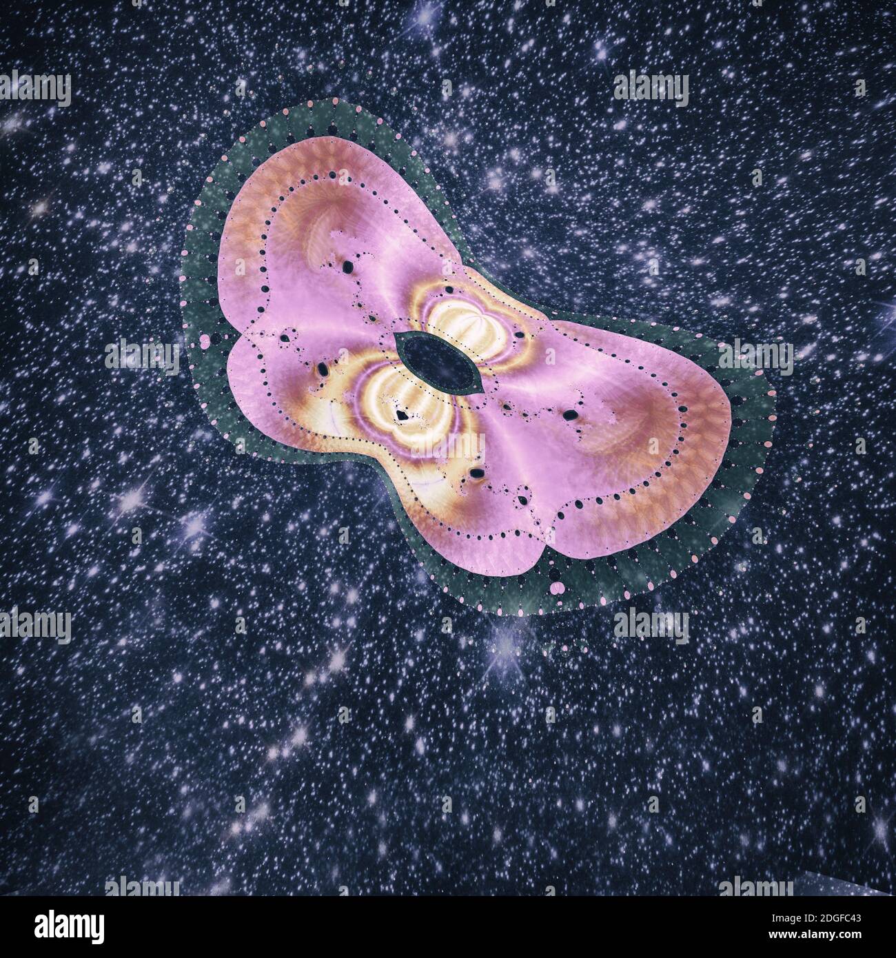 Abstraktes Bild einer Nacht Schmetterling auf einem dunklen Hintergrund. Stockfoto