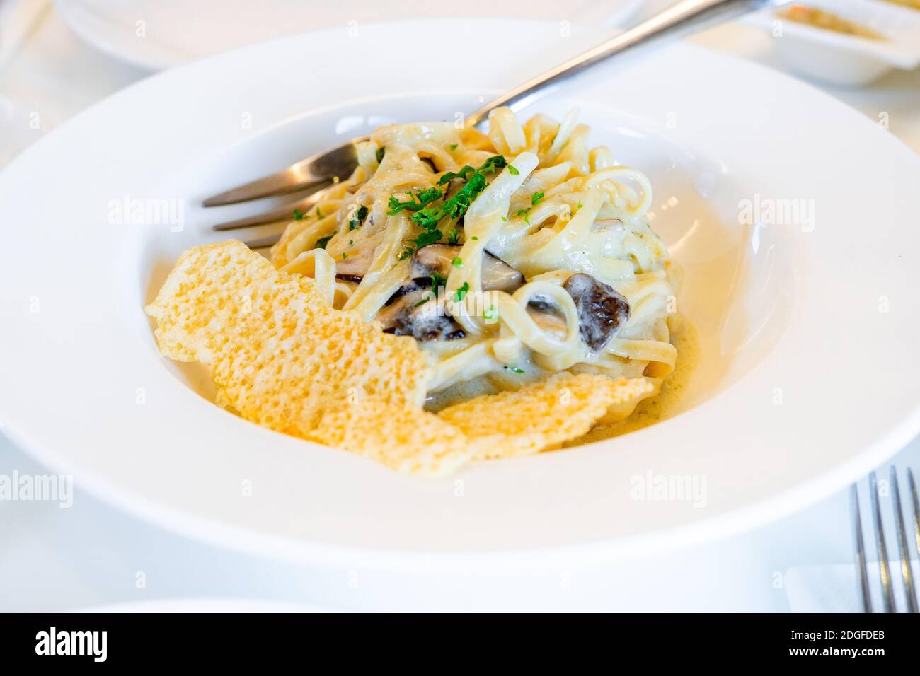 Pasta mit Trüffelpilzen, serviert auf weißem Teller. Stockfoto