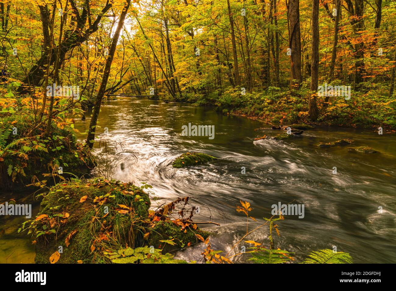 Landschaftlich schöner Blick auf den schönen Fluss Oirase im Wald Von buntem Laub in der Herbstsaison Stockfoto