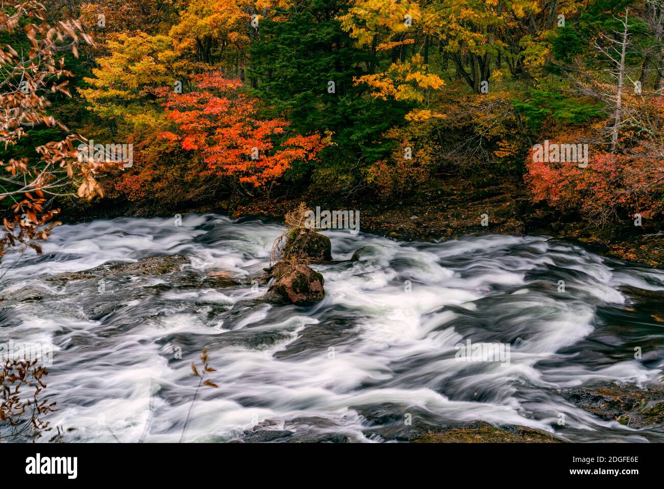 Blick auf Yukawa Fluss fließen schnell vorbei Felsen in bunten Laub der Herbstsaison Stockfoto