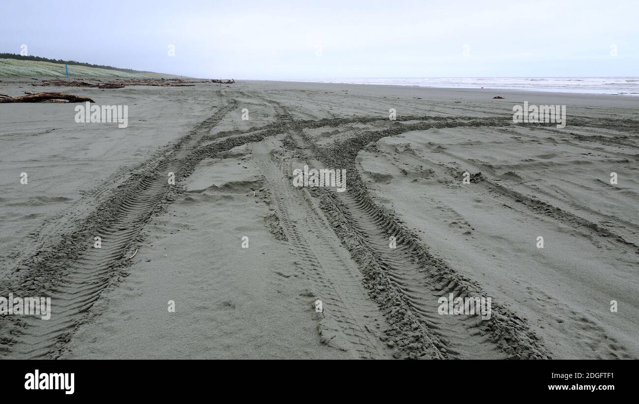 Große Reifenspuren im Sand am Waitarere Beach, NZ Stockfoto