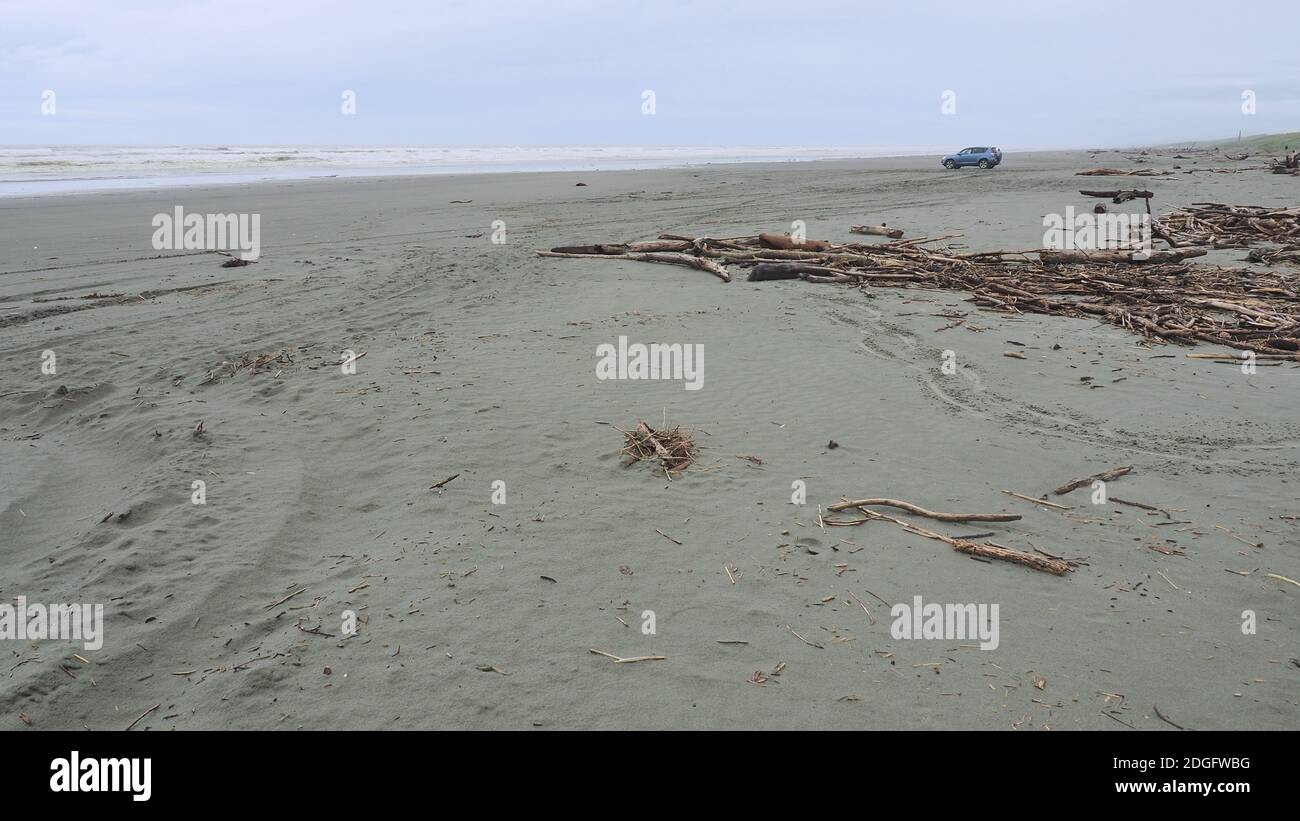 Driftwood und Toyota RAV am Wide Waitarere Beach, NZ Stockfoto