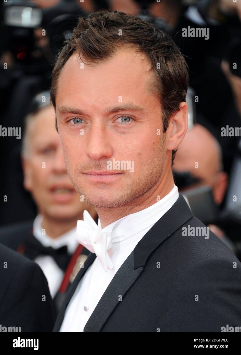 Jude Law während der Premiere von "Midnight in Paris" im Rahmen der 64. Internationalen Filmfestspiele von Cannes, dem Palais des Festivales in Cannes, Frankreich. Stockfoto