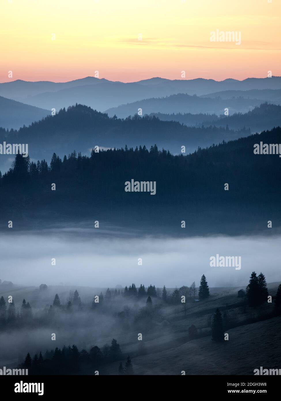 Majestätische Herbstlandschaft des nebligen Tals auf der Karpaten-Bergkette bei Sonnenaufgang am frühen Morgen. Wunderschöne tonale Perspektive Weitwinkelpanorama. Stockfoto