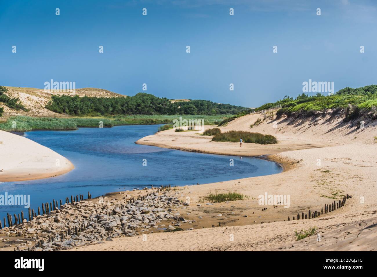 Die Mündung der Huchet-Strömung in den Landes Stockfoto