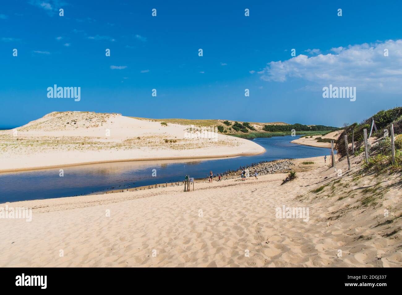 Die Mündung der Huchet-Strömung in den Landes Stockfoto