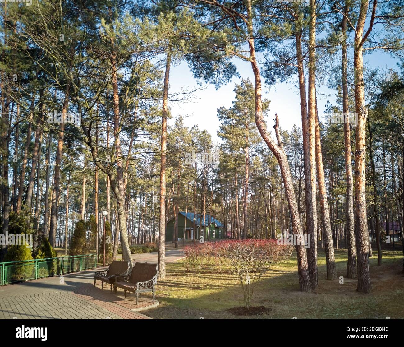 Herbstlandschaft: Im Spätherbst im Park. Stockfoto