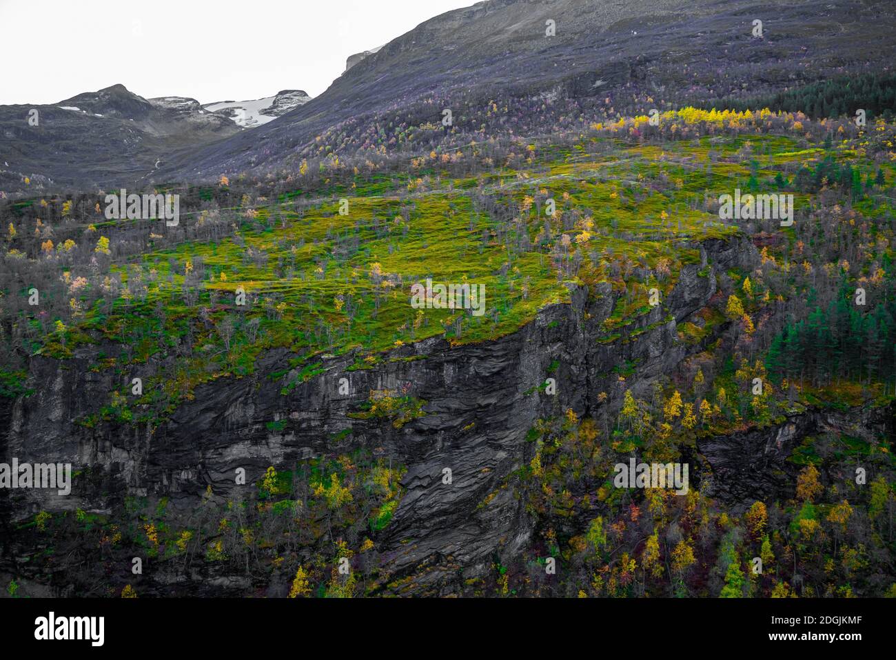 Berg und steile Felswände mit grünem Gras und Bäumen in Herbstfarben. Stockfoto