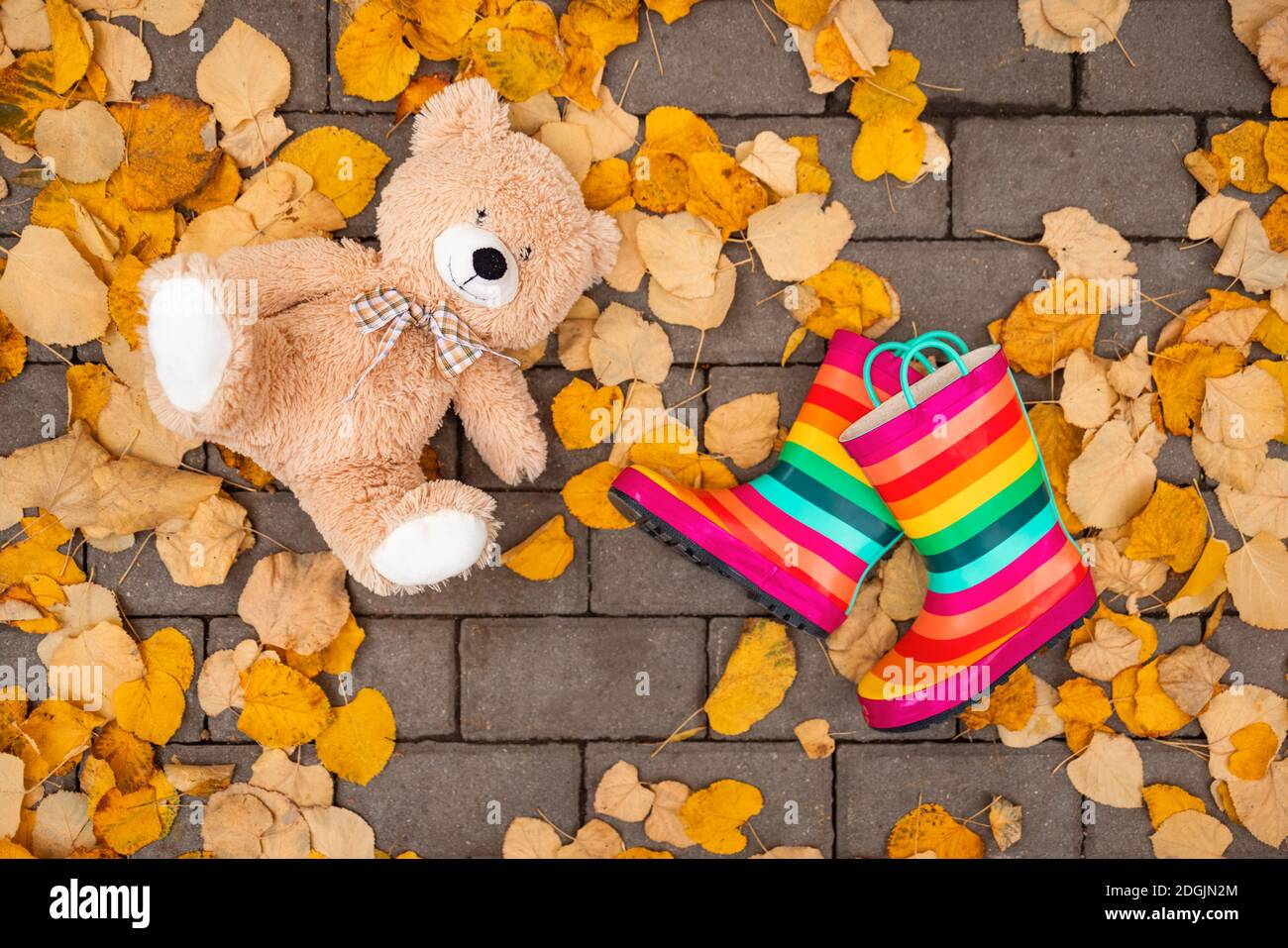 Herbstblätter, bunte Gummi-Regenstiefel und Teddybär im Stadtpark Stockfoto
