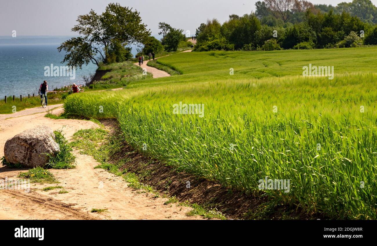 Radweg entlang der Küste Stockfoto