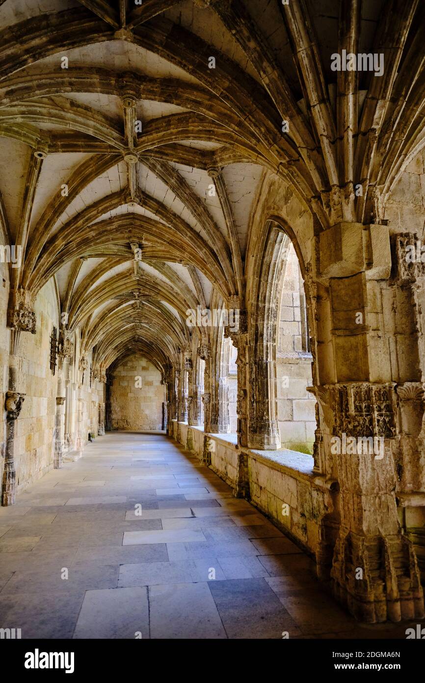 Frankreich, Lot (46), Cahors, Kreuzgang der Kathedrale Saint-Etienne, von der UNESCO zum Weltkulturerbe erklärt Lot Tal, Quercy Stockfoto